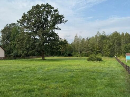 Działka budowlana o pow 3 499 m² we wsi Jeże, gm