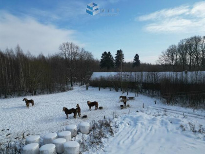 Działka Marwałd gm. Dąbrówno