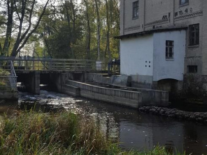 Malownicza działka nad rzeką przy starym młynie z lasem 4.8h