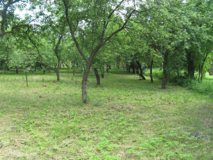 Działka  Budowlana.Sprzedaż bez pośrednika