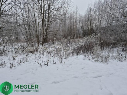 Rusiec - działka niedaleko lasu