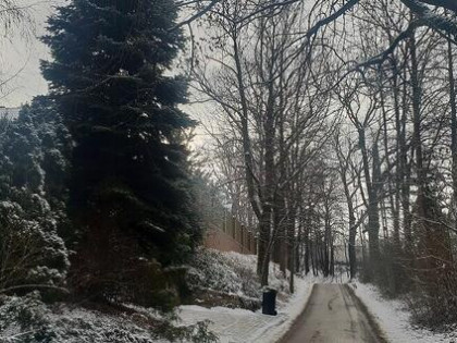 Działka budowlana Swoszowice 12 ar.