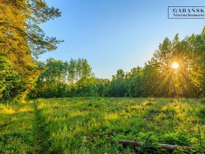 Działka budowlana Zaczarnie gm. Lisia Góra
