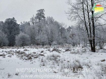 Działka budowlana Żyrardów
