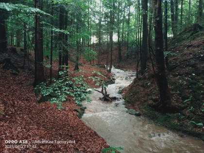 Jedyna taka działka w Beskidzie Żywieckim