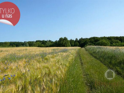 Wyjątkowa działka z pozwoleniem na budowę -1,48 ha