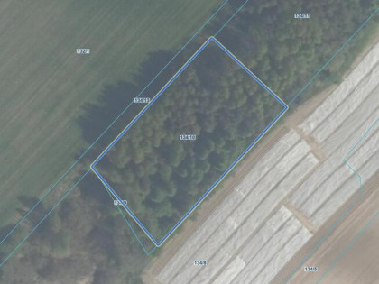 Działka budowlana Zwierzewo gm. Ostróda,