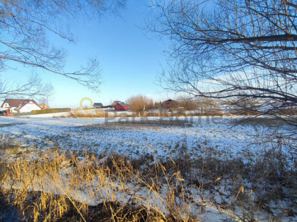 Działka rekreacyjna Jeleńczewo gm. Śrem,