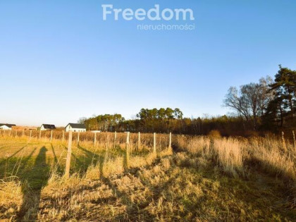 Działka budowlana pod lasem