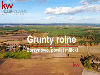 Działka rolna Borzynowo gm. Milicz,
