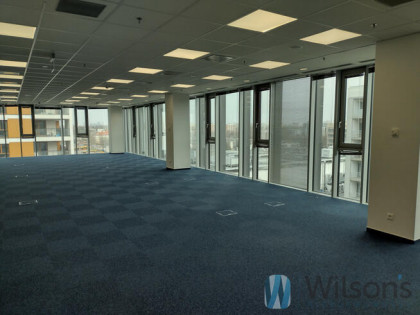 Lokal użytkowy Warszawa gm. Mokotów Mokotów, Służewiec, Domaniewska