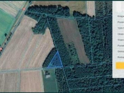 Działka rolno-budowlana Siemiatycze / Klin połosy 1ha
