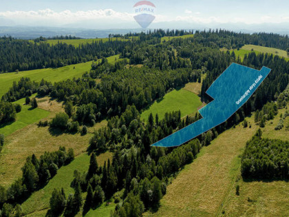 Działki leśne  Sieniawa