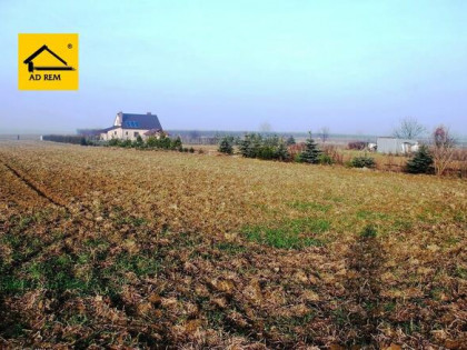 Działka budowlana Dziuchów gm. Niemce, Dziuchów