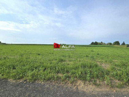 Działka budowlana Mrowiny gm. Żarów