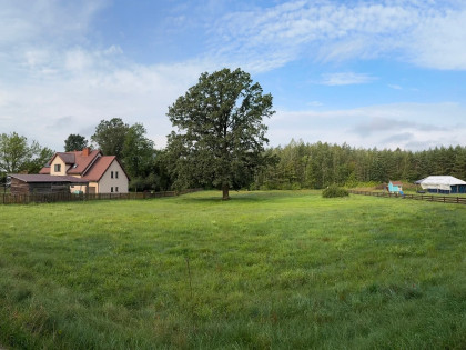 Działka budowlana o pow 3 499 m² we wsi Jeże, gmina Pisz