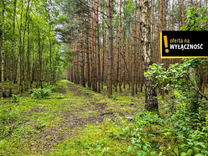 Działka Strzegomek ul.  