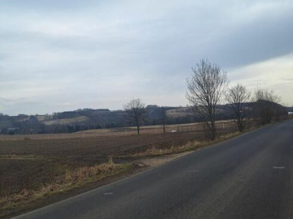 Sprzedam 2ha ziemi rolnej