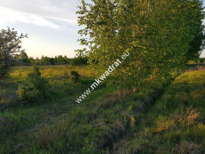 ⭐⭐⭐⭐ Działka 800 m od szkoły MPZP budow-usług ⭐⭐⭐⭐