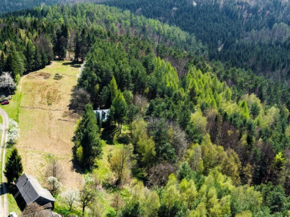 Na sprzedaż gospodarstwo rolne w Jastrzębi