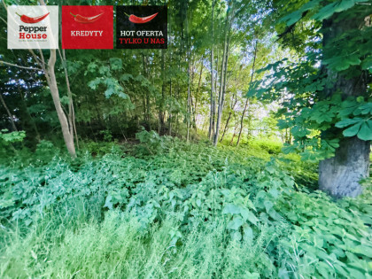 Działka Gołębiewo Wielkie ul. Konwaliowa