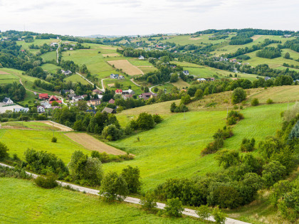 Widokowa działka w Krużlowej!! 50 arów 150tyś. !!!