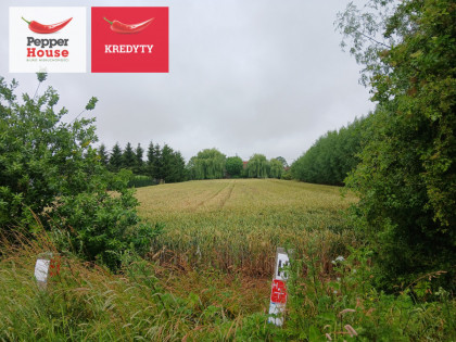 Działka Ostaszewo ul. Długa