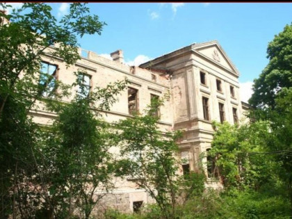 Pałac Wierzbięcin,gm.Nowogard,park-do remontu