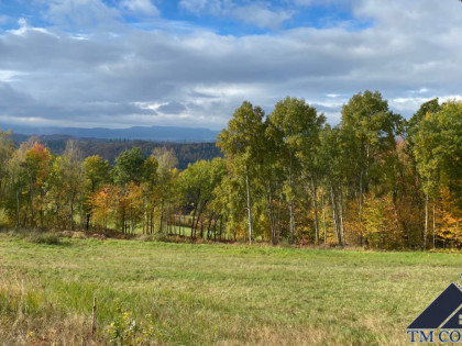 Działka Bieganów ul.  