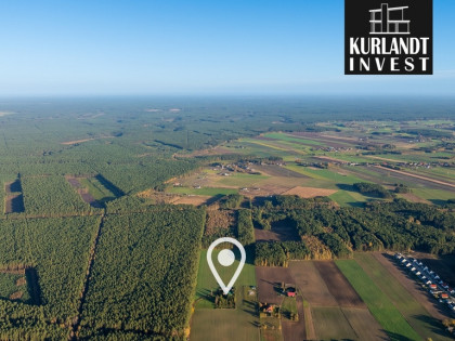 Siedlisko z widokiem na las Cekcyn Bory Tucholskie