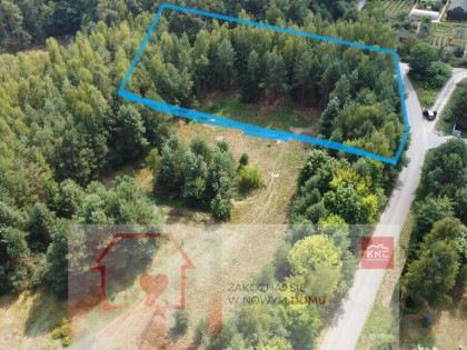 Działka 3117 m2 pośród drzew w Kowali gm. Puławy.