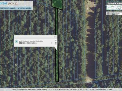 Działki rolne Złoty Potok