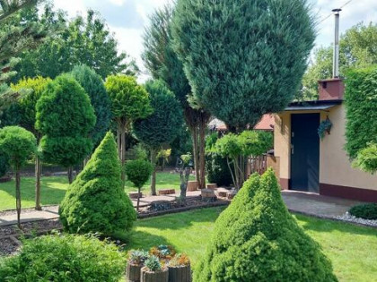 Działka ROD Kapuściska, Bydgoszcz