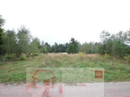 Działka budowlana ok.20 ar Gołąb g. Michów