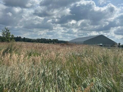 Działka Ceków-Kolonia