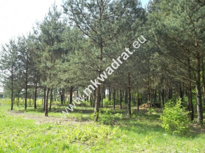 działka w otulinie lasu z pozwoleniem na budowę