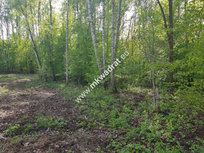 Działka Rolna  z możliwością zabudowy