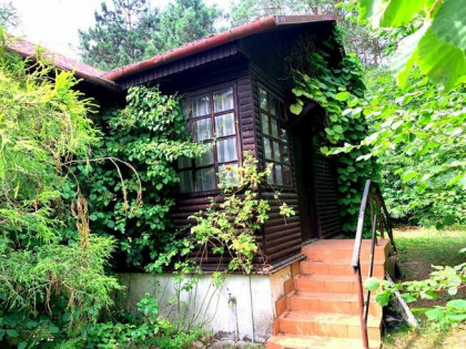 Działka z domem z widokiem na rzekę