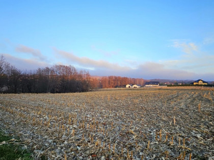 Działka budowlana- Nowodworze- Tarnów-Małopolska