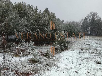 Atrakcyjna działka budowlana 3600 m² - Groszowice