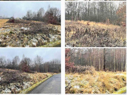 Konkurs ofert - udział 1/2 w prawie własności Olszowice