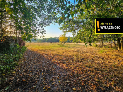 Działka Niedźwiedź ul.  