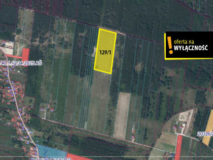 Działka Jasień ul.  