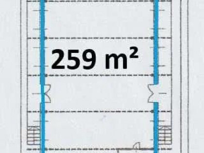 Lokal Warszawa Wola, Koło Warszawa