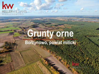Działka rolna Borzynowo gm. Milicz,