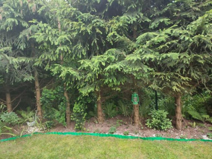 Okazja dom bliźniak