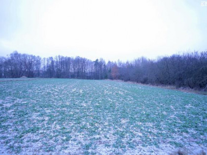 Działka budowlana Tuszów gm. Jabłonna