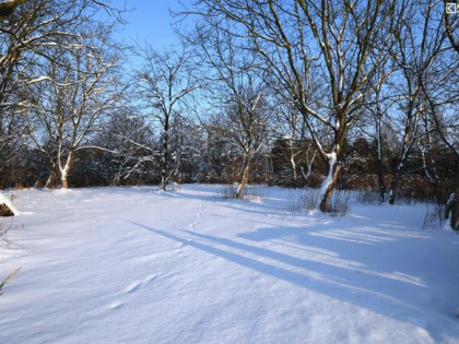 Działka budowlana Motycz gm. Konopnica