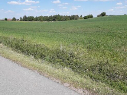 Gałkówek-Kolonia-działka b.blisko Łodzi, Justynowa, Brzezin