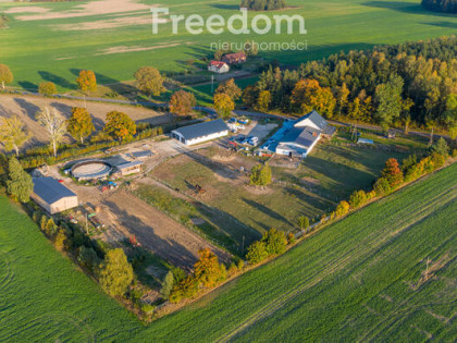 Wyjątkowa nieruchomość, stajnia 1,5763 ha - Bartki